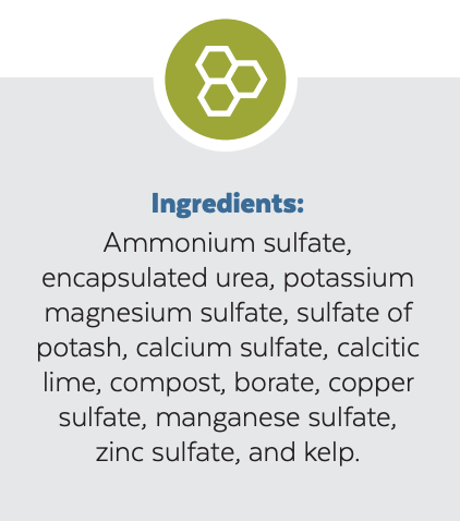 Bio-Sense Lawn Fertilizer