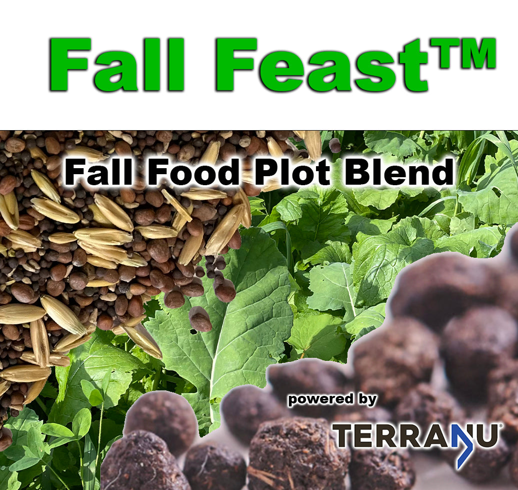 Fall Feast