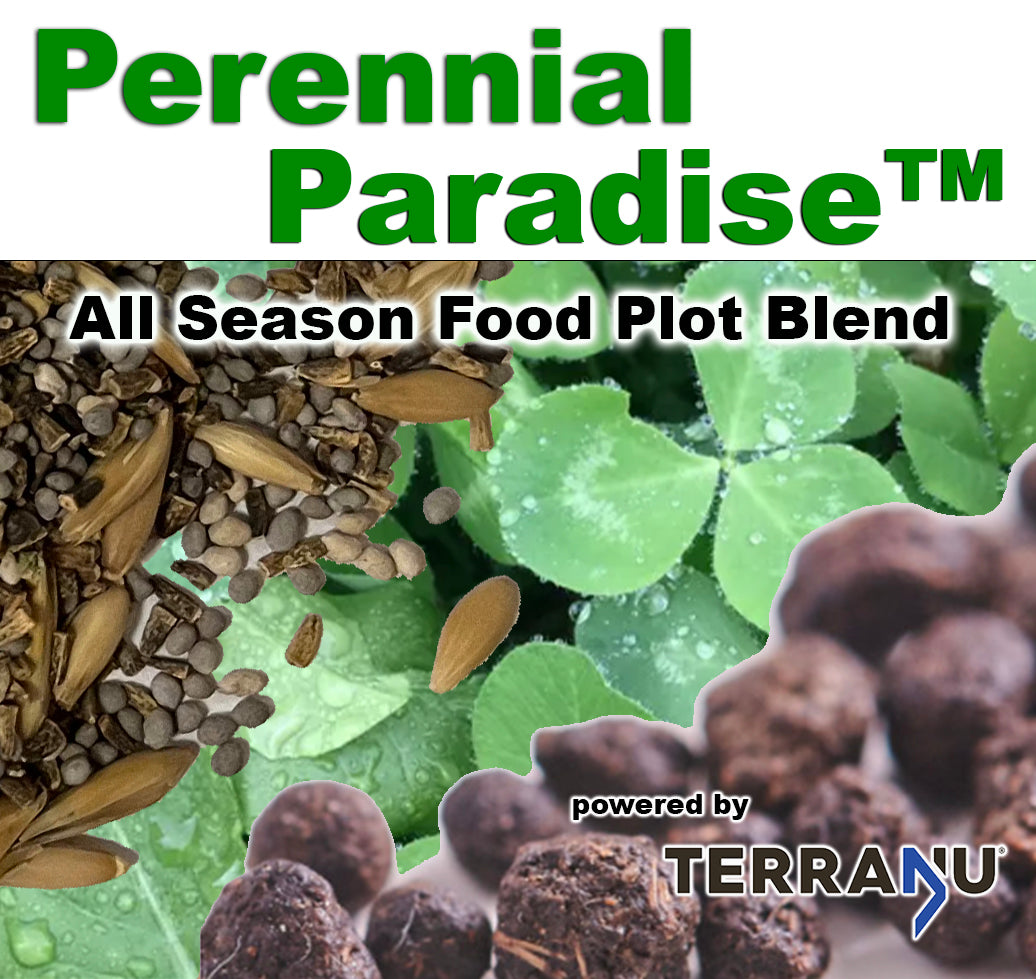 Perennial Paradise