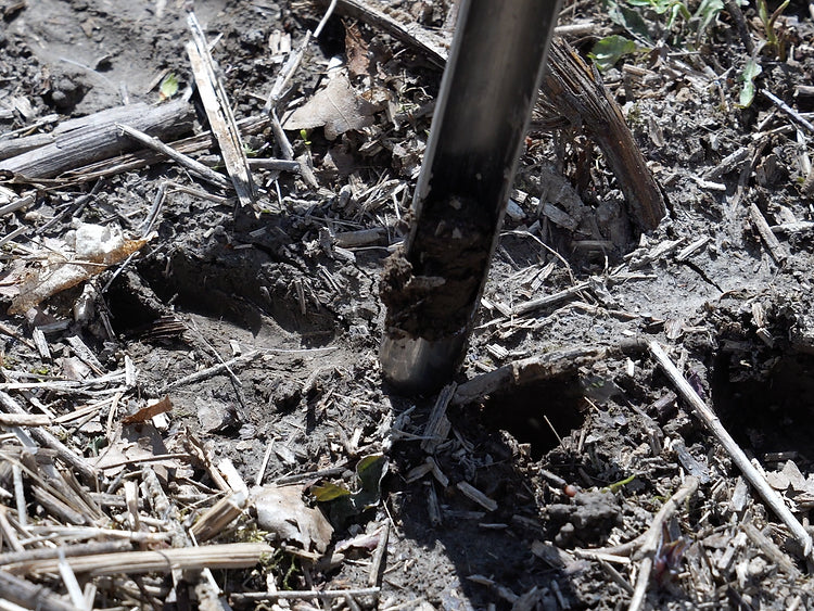 Soil Sample Kit