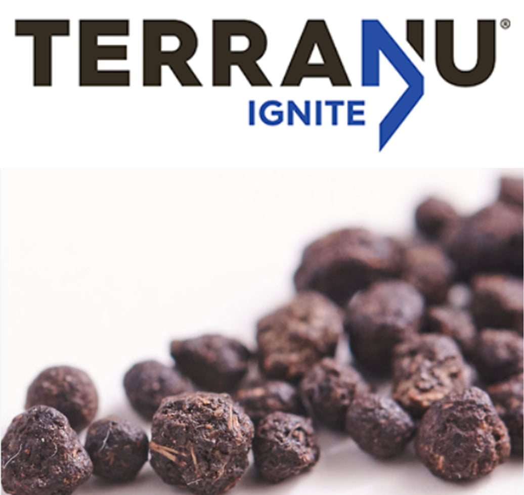 Terranu Ignite