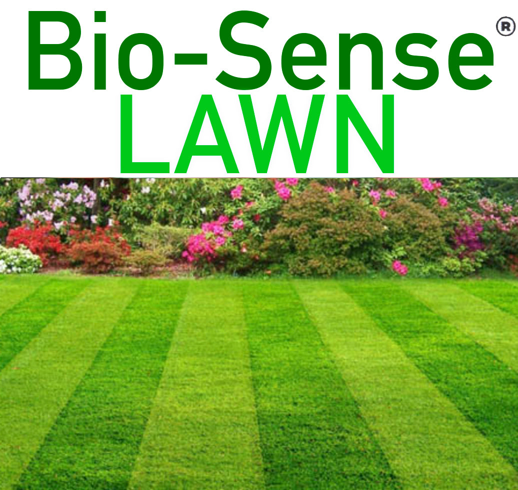 Bio-Sense Lawn Fertilizer